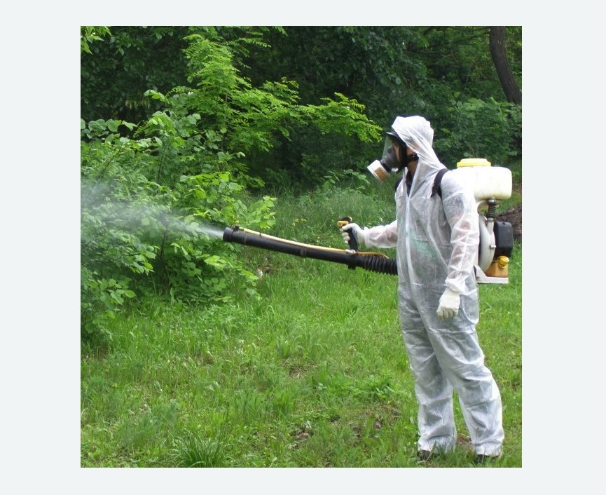 обработка территории от клещей в Ясенево города Москвы