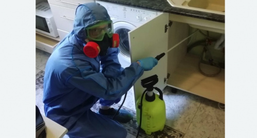 Уничтожение муравьев в квартире. Ясенево 