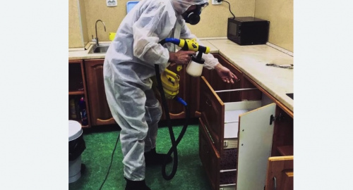 Дезинсекция квартиры. Ясенево 