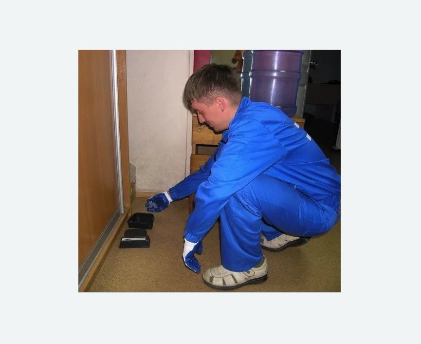 Дератизация крыс в Ясенево города Москвы