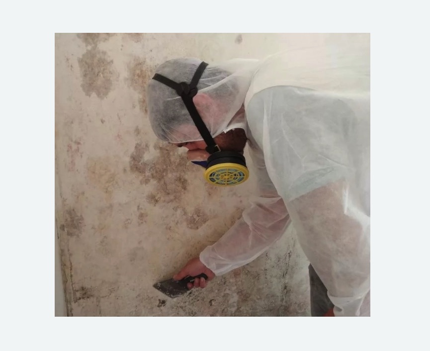 Обработка стен от плесени в Ясенево города Москвы