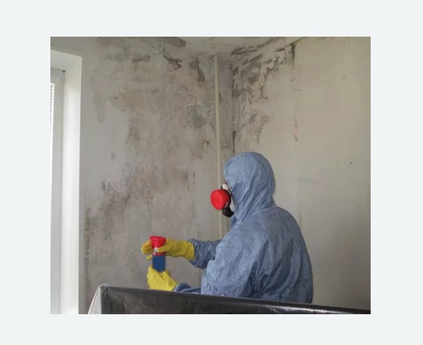 Удаление плесени в квартире в Ясенево города Москвы