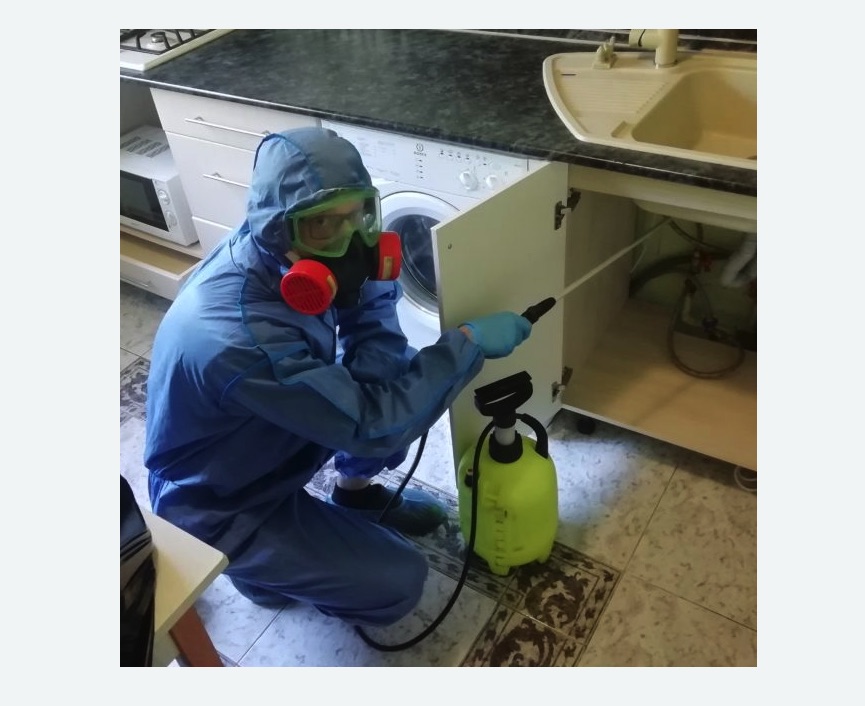 обработка от муравьев в квартире в Ясенево города Москвы