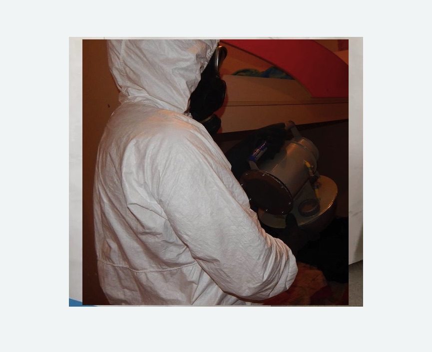 Дезинфекция от муравьев в Ясенево города Москвы